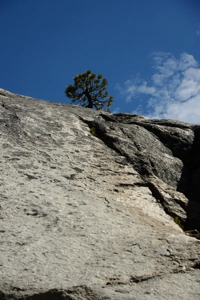 DSC_0204 (Large).JPG